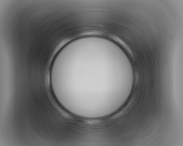 X0000112381274200908131316