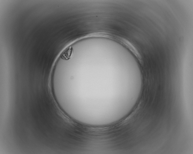 X0000112381276200908131316