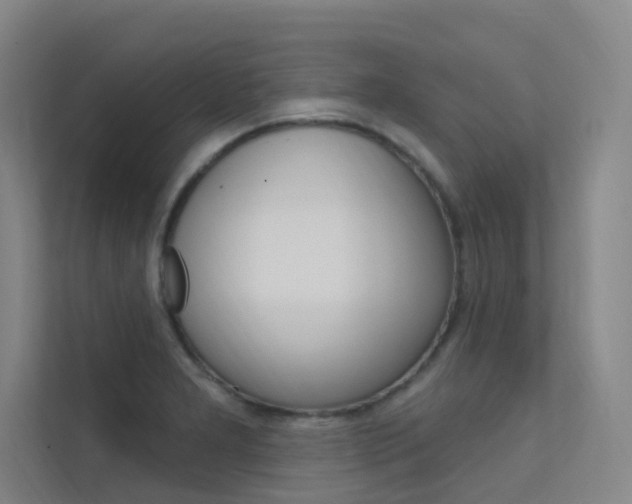 X0000112381277200908131316
