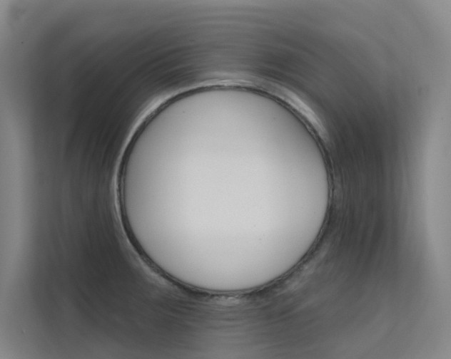 X0000112381283200908131316