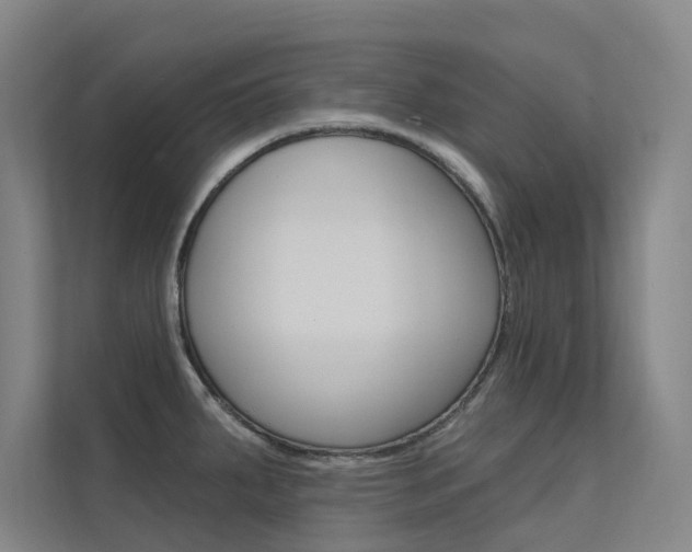 X0000112381287200908131316