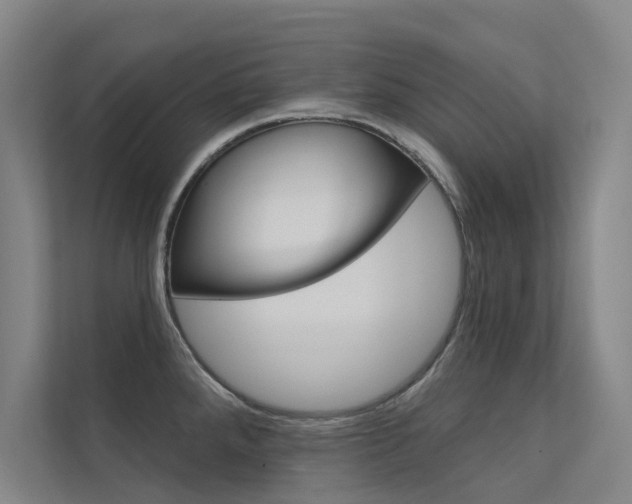 X0000112381288200908131316