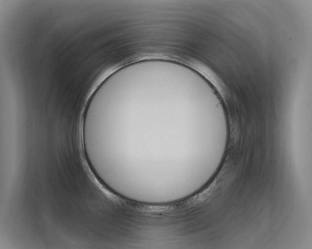 X0000112381290200908131316