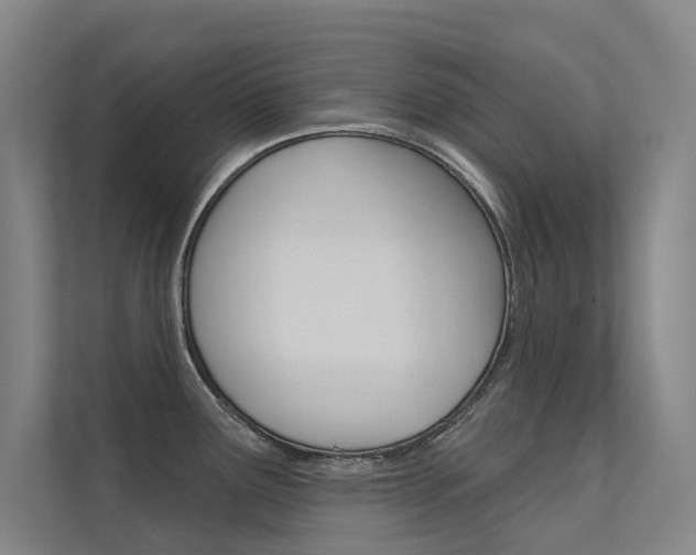 X0000112381291200908131316