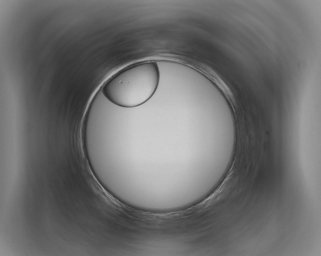 X0000112381292200908131316