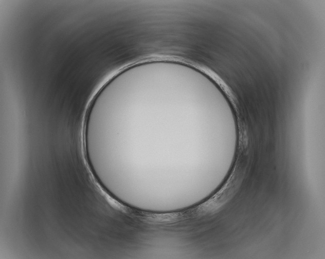 X0000112381294200908131316