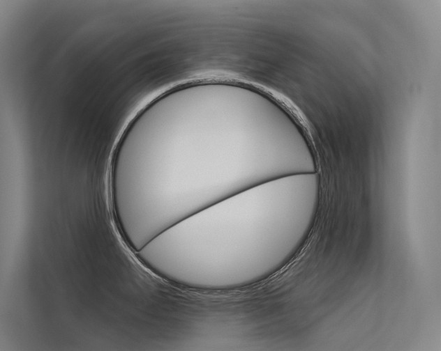 X0000112381295200908131316