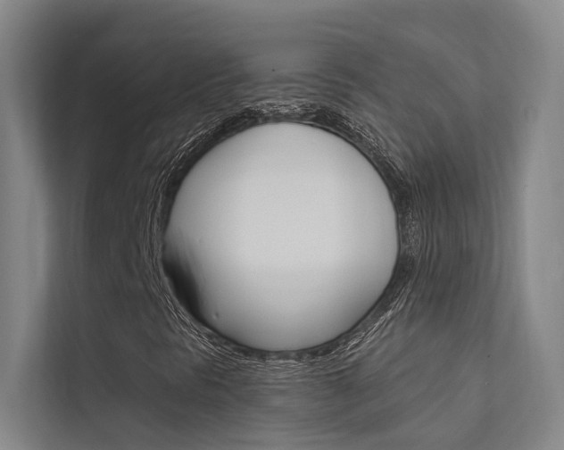 X0000112381297200908131315