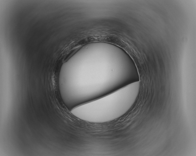 X0000112381298200908131315