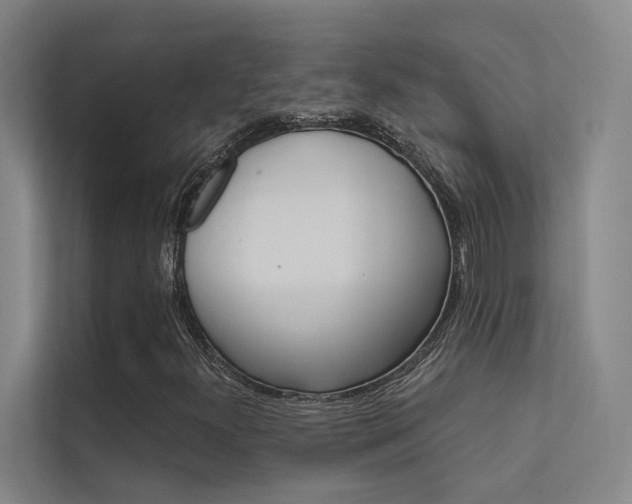 X0000112381300200908131315
