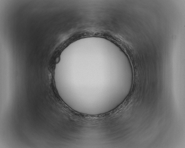 X0000112381302200908131315