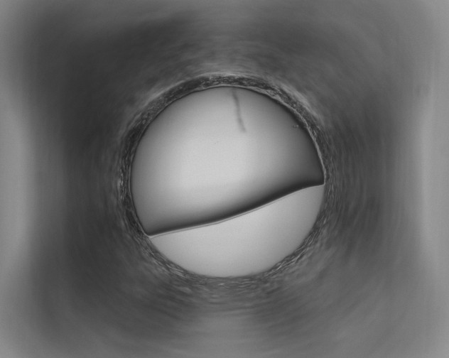 X0000112381303200908131316