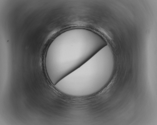 X0000112381307200908131316