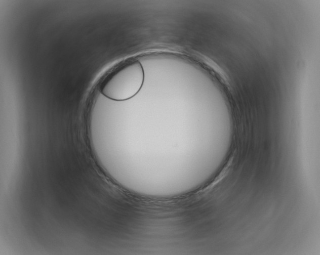 X0000112381310200908131316