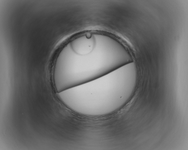 X0000112381311200908131316