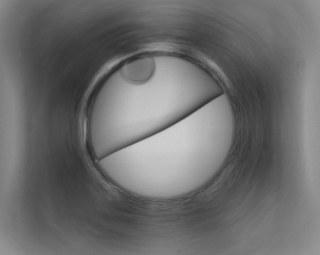 X0000112381323200908131316