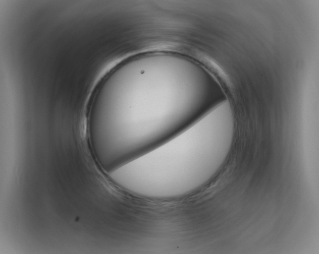 X0000112381324200908131316