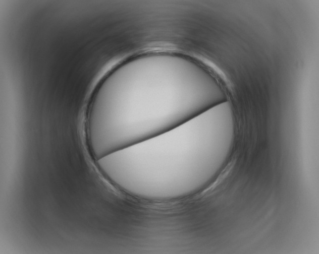 X0000112381325200908131316