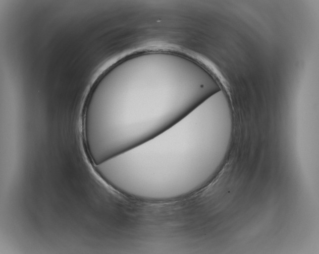 X0000112381335200908131316