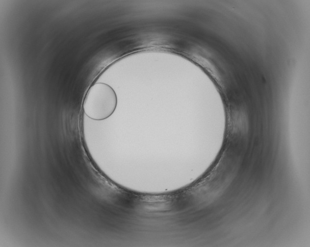 X0000112381338200908131316