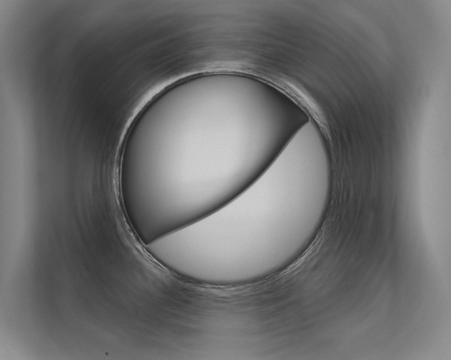X0000112381340200908131316