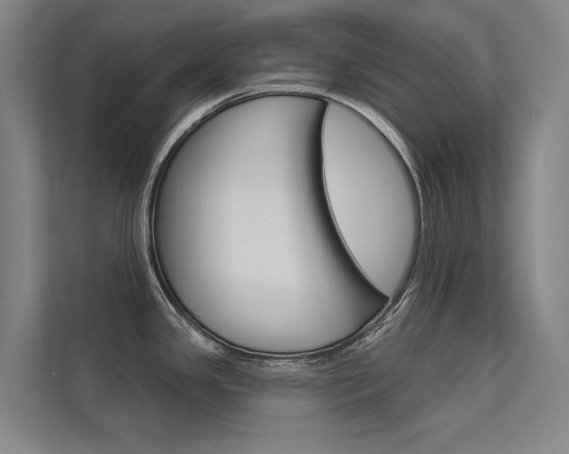 X0000112381341200908131316