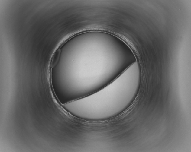 X0000112381342200908131316