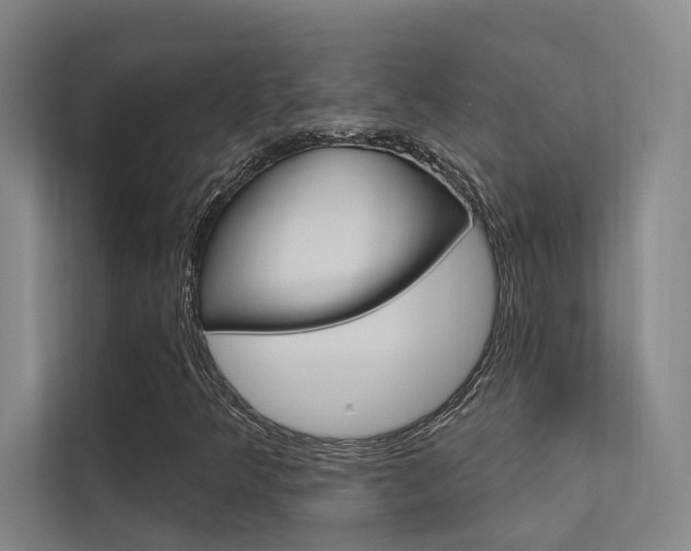 X0000112381349200908131315