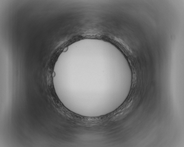 X0000112381350200908131315