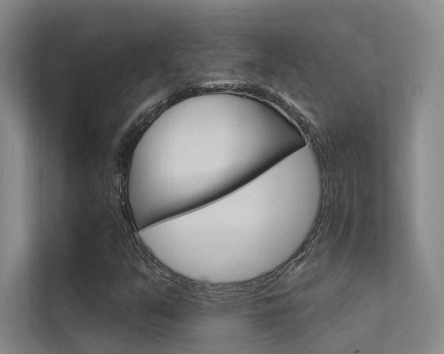 X0000112381351200908131315