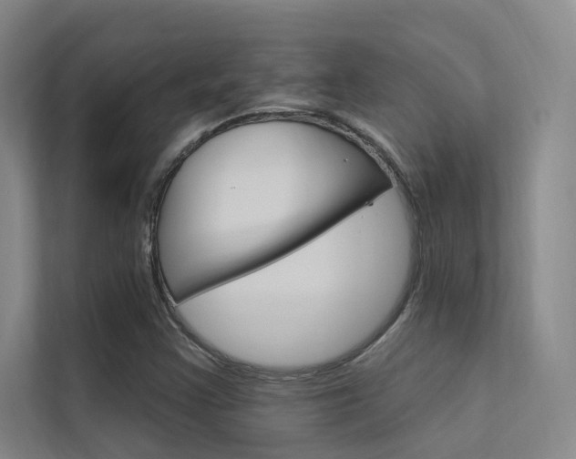 X0000112381355200908131315