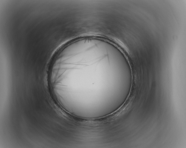 X0000112381356200908131315