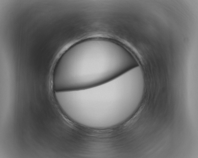 X0000112381367200908131315