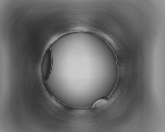 X0000112381373200908131315
