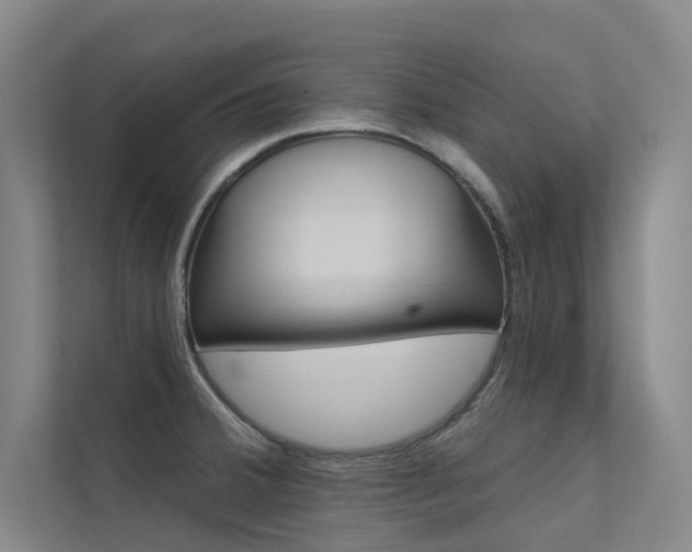 X0000112381380200908131315