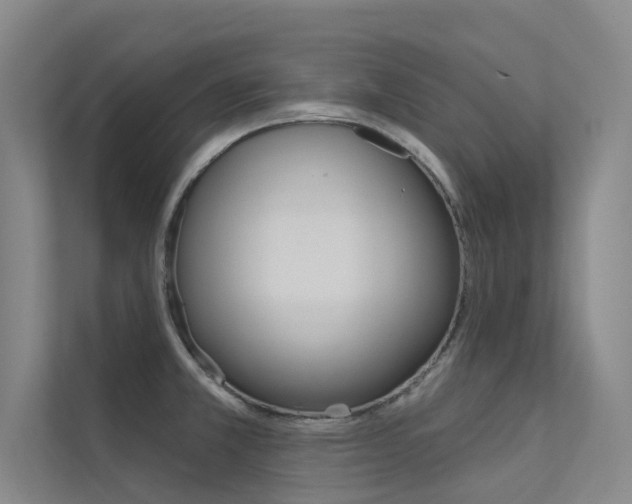 X0000112381381200908131315