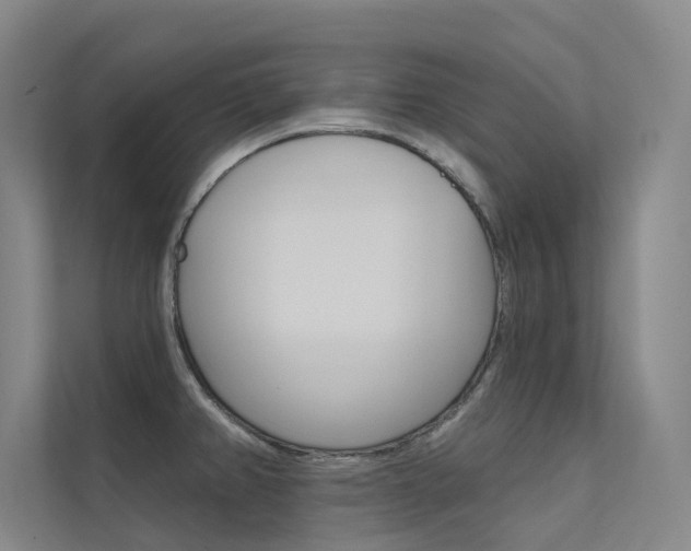 X0000112381382200908131315