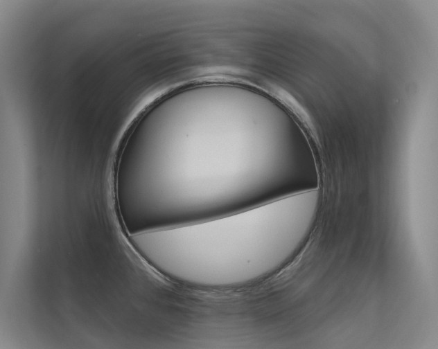 X0000112381384200908131315