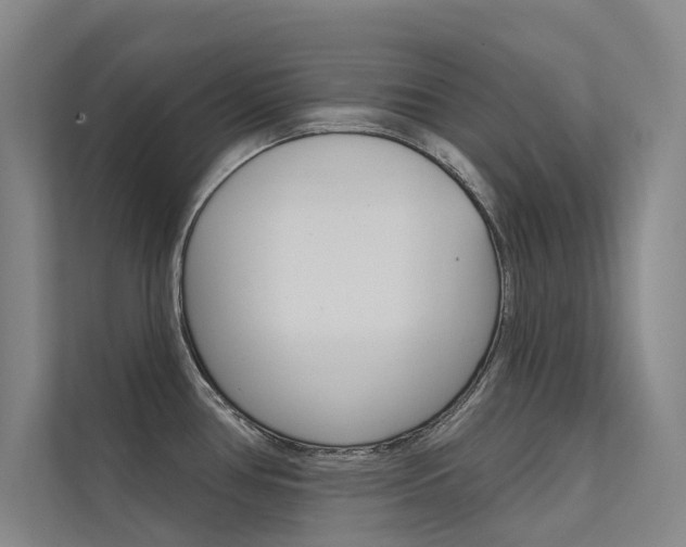 X0000112381386200908131315