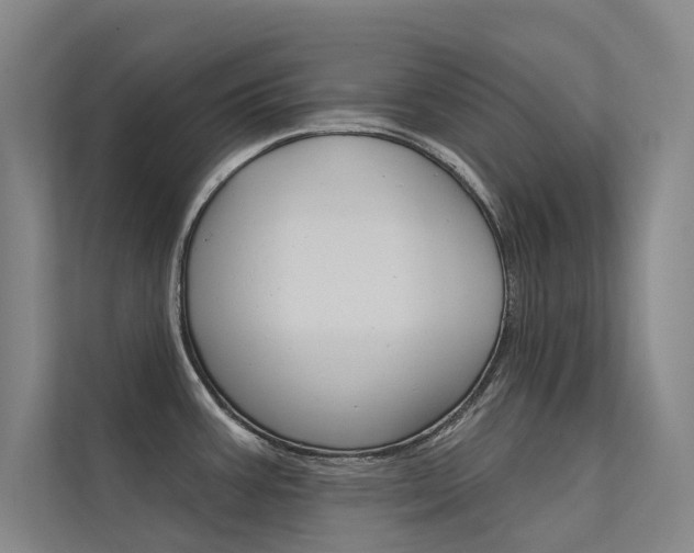 X0000112381387200908131315