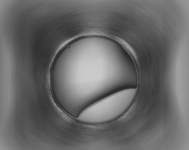 X0000112381388200908131315