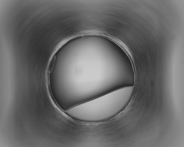X0000112381389200908131315