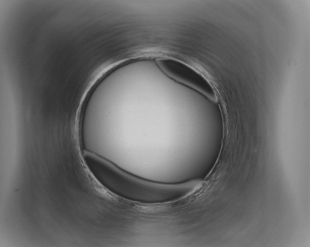 X0000112381392200908131315