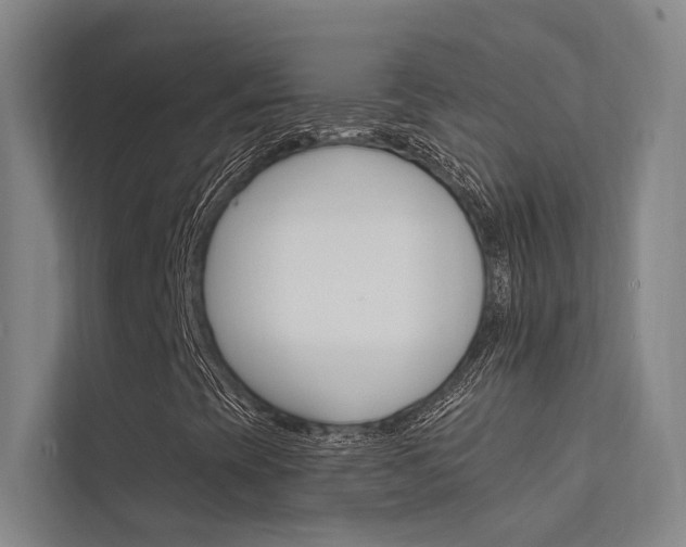 X0000112381393200908131314