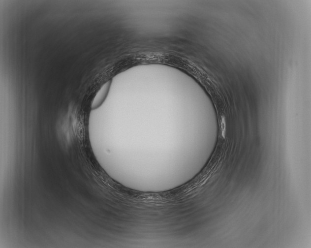 X0000112381395200908131314