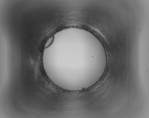 X0000112381399200908131314