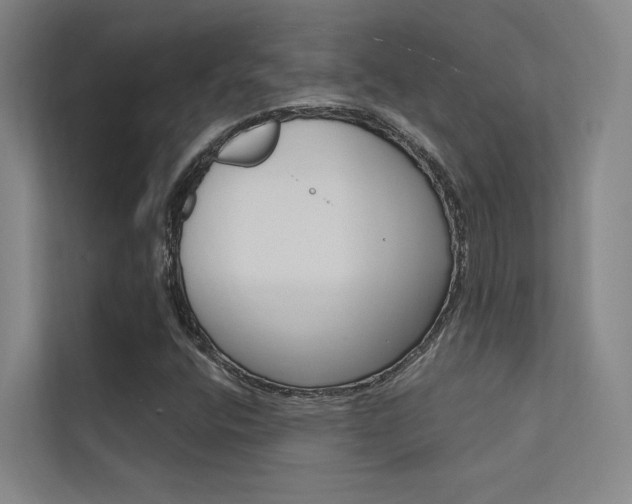 X0000112381400200908131314