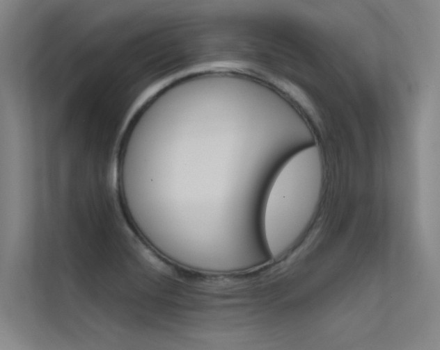 X0000112381420200908131315