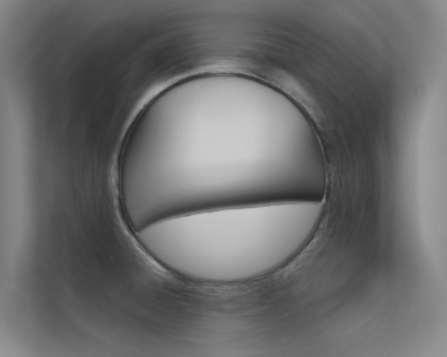 X0000112381428200908131315