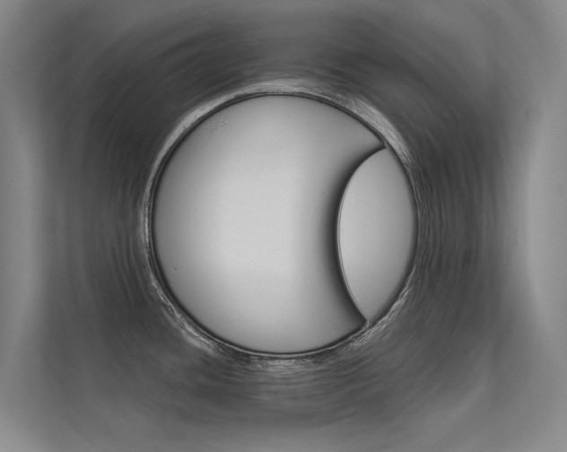 X0000112381436200908131315